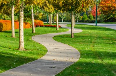 Concrete sidewalks are a marvel of modern engineering, providing a sturdy and reliable platform for us to walk on!